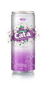 250ml Carbonated Mangosteen Flavor Drink